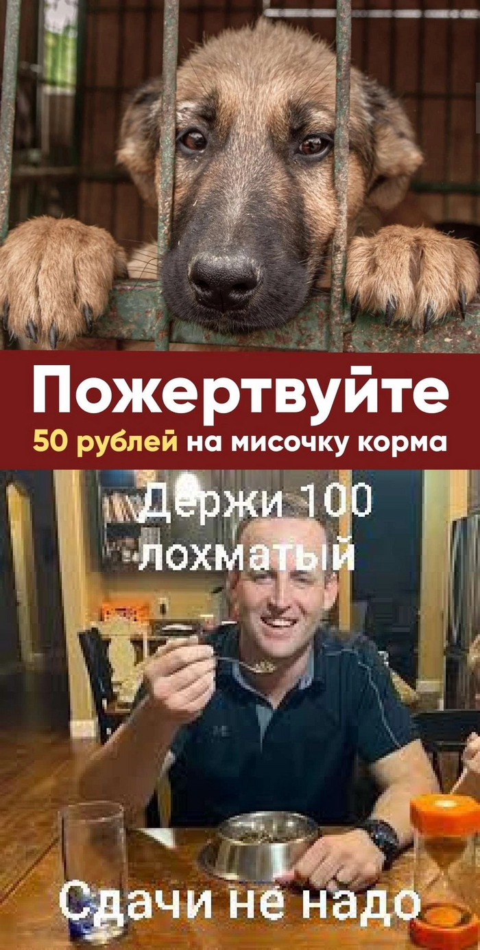����� �������� ���� ���� ��������� ����