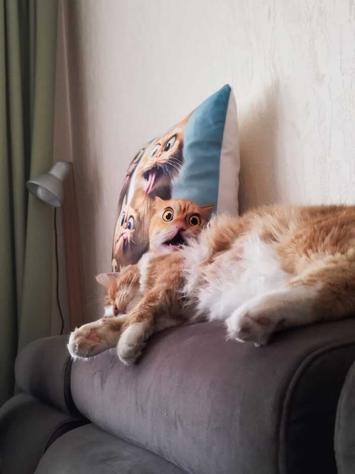 ������� �� ������, � ����� ����� ������