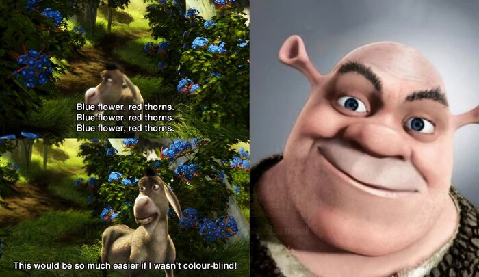 Про дальтоников