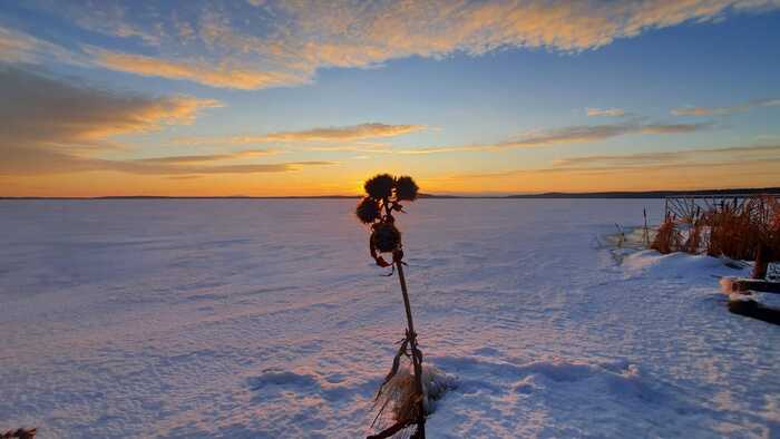 Ответ на пост «Конкурс зимних фотографий на Пикабу»
