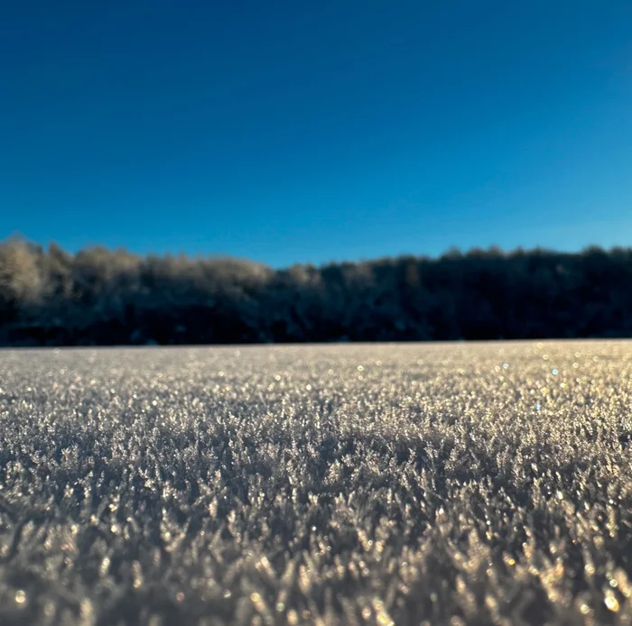 Reply to the post Winter Photo Contest on Pikabu - New Year, Peekaboo, Competition, Tucked away in 2024, The photo, A wave of posts, Reply to post