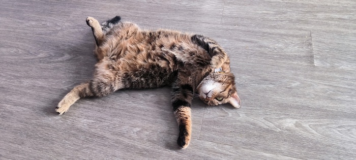 Сфоткай типа солнечные ванны принимаю