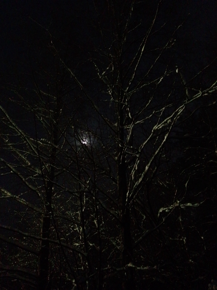 ����� �� ���� �������� ������ ���������� �� ������