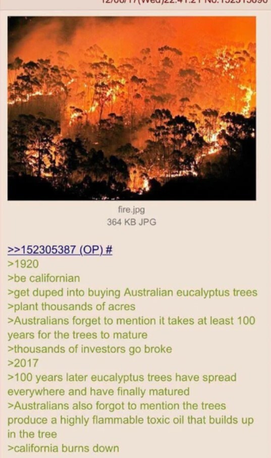 Тем временем, на Форчане есть своя научно-экономическая теория с объяснением происходящего