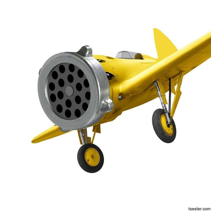 ���� ����� �����?