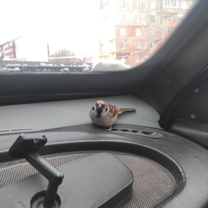 А чего это ты меня снимаешь?