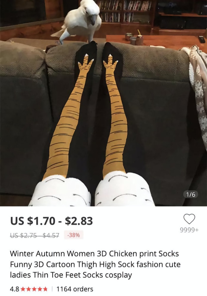 :  ". ()" / : 7703380158