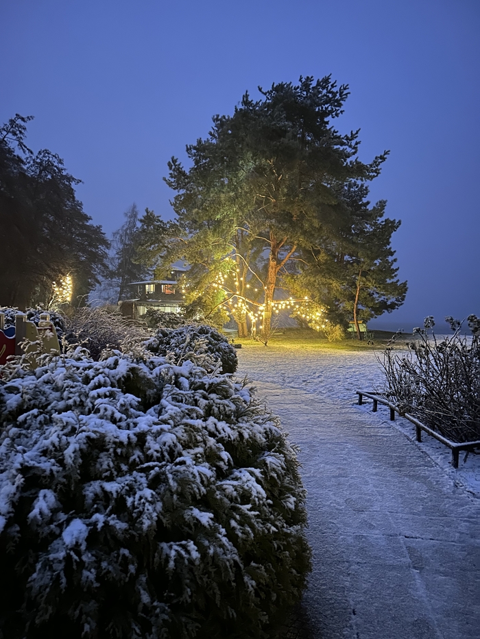 ����� �� ���� �������� ������ ���������� �� ������