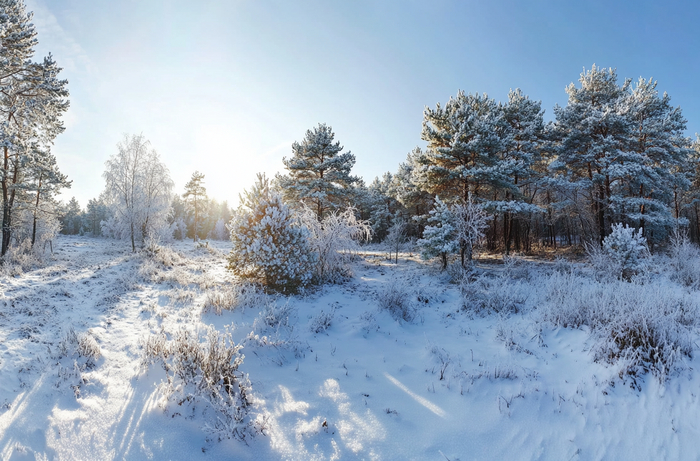 <!--noindex--><a href="https://pikabu.ru/story/otvet_deffethazrashid_v_konkurs_zimnikh_fotografiy_na_pikabu_12243175?u=https%3A%2F%2Fwww.midjourney.com%2Fjobs%2Fb3b8d743-e2d6-4b67-a912-138386cba52a%3Findex%3D0&t=https%3A%2F%2Fwww.midjourney.com%2Fjobs%2Fb3b8d743-e2d6-4b67-a912-1383...&h=a90af1d6578c5ee65f2159b0e0a5501c973ed7db" title="https://www.midjourney.com/jobs/b3b8d743-e2d6-4b67-a912-138386cba52a?index=0" target="_blank" rel="nofollow noopener">https://www.midjourney.com/jobs/b3b8d743-e2d6-4b67-a912-1383...</a><!--/noindex-->