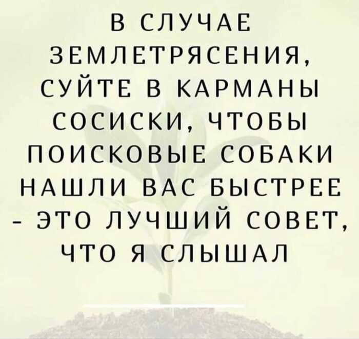 В Сочи небольшое землетрясение