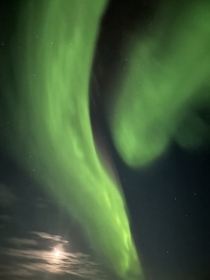 Похоже на символ года - змею