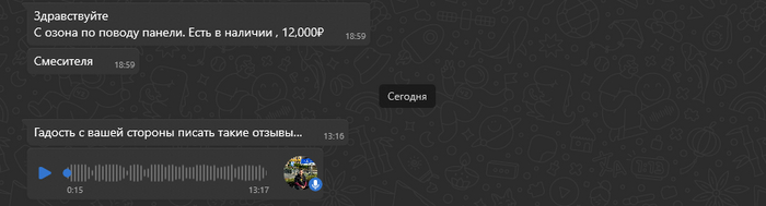 Расшифровка ГС: "Почему Вы думаете, что виноваты в этом мы? Мы все мойки проверяем перед отправкой. Если где-то вашу панель украли, потеряли и т.д. Это всё надо смотреть на ПВЗ. Мы в этом не виноваты. А Вы пишете гадости и занимаетесь потребительским терро