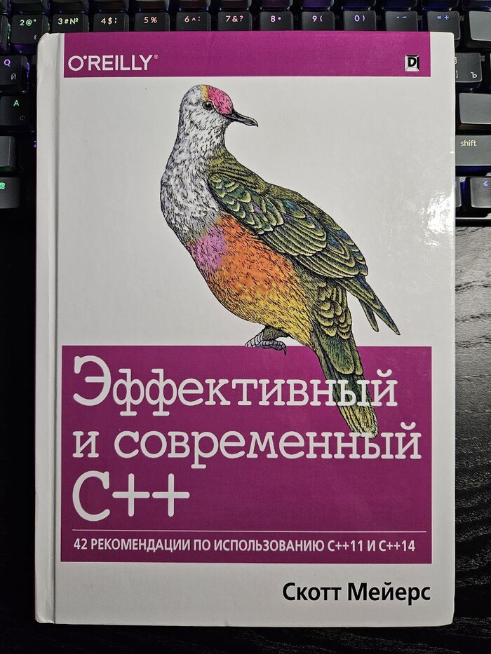   C++,      2025  , Pikabu Publish Bot, IT, C++, , , 