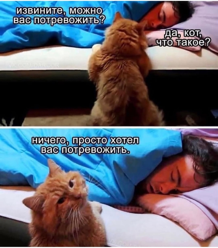   , "   " , ,  ,  ,  , , , ,   
