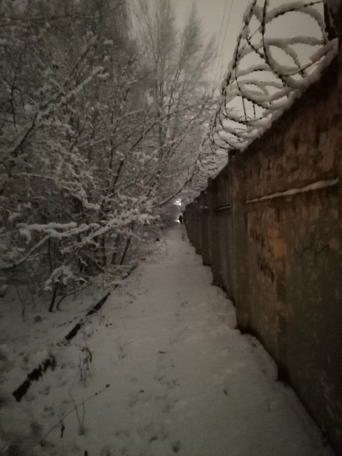 ����� �� ���� �������� ������ ���������� �� ������