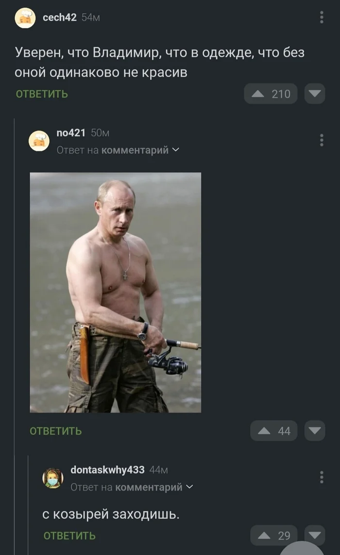 С козырей - Моё, Юмор, Россия, Владимир Путин, Длиннопост