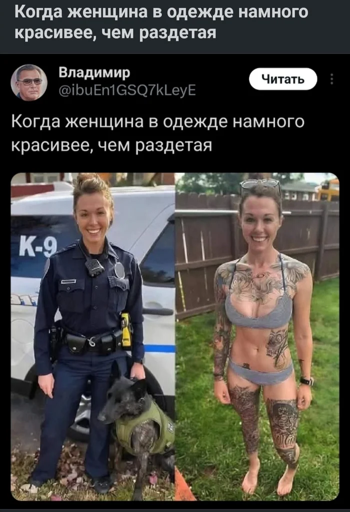 С козырей - Моё, Юмор, Россия, Владимир Путин, Длиннопост
