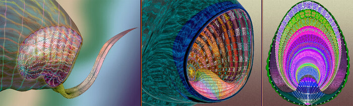 ����������� ������� "�������" - ������