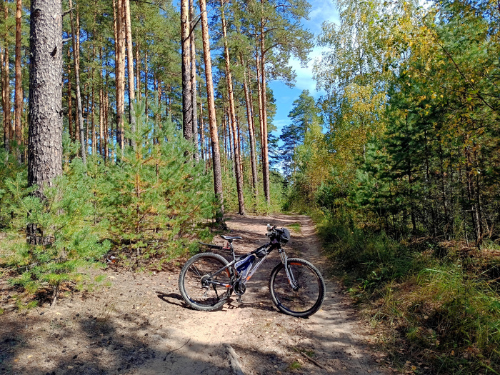 �� ���� � �����