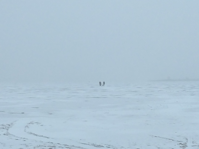 Два друга шли домой.