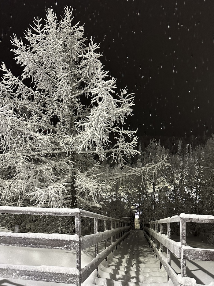 Зимнее фото