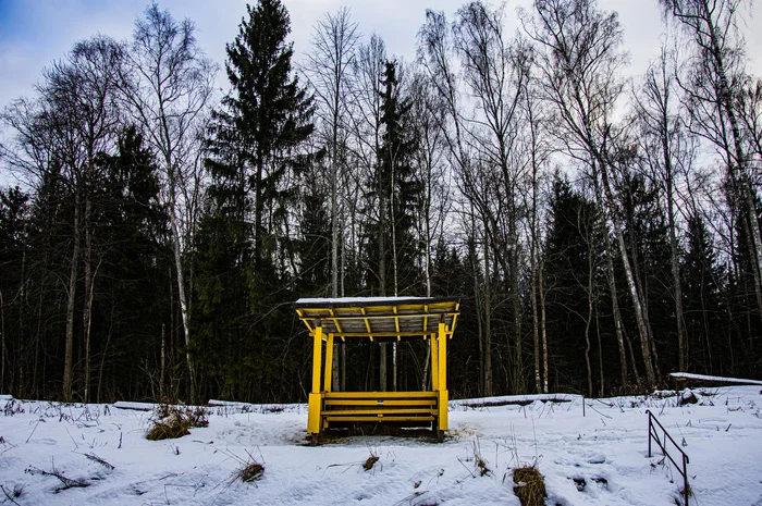 I'll leave Moscow by commuter train, I'll leave for nowhere... - The photo, Winter, Moscow region, Drive, Railway, Longpost