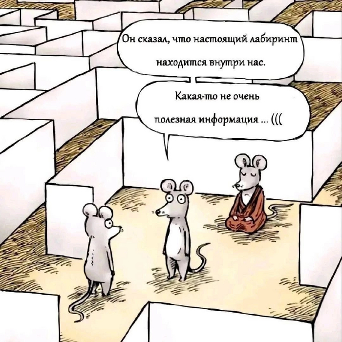      , ,  , ,   ,  