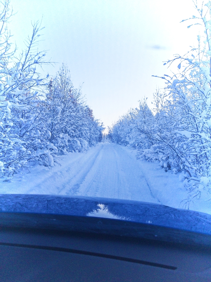 Конкурс зимних фотографий