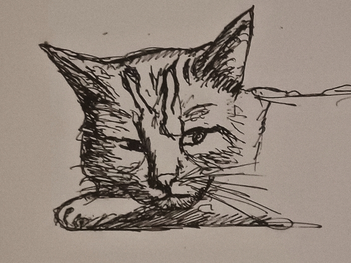 ��������������