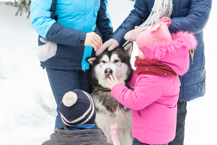 Ответ на пост «Конкурс зимних фотографий на Пикабу»