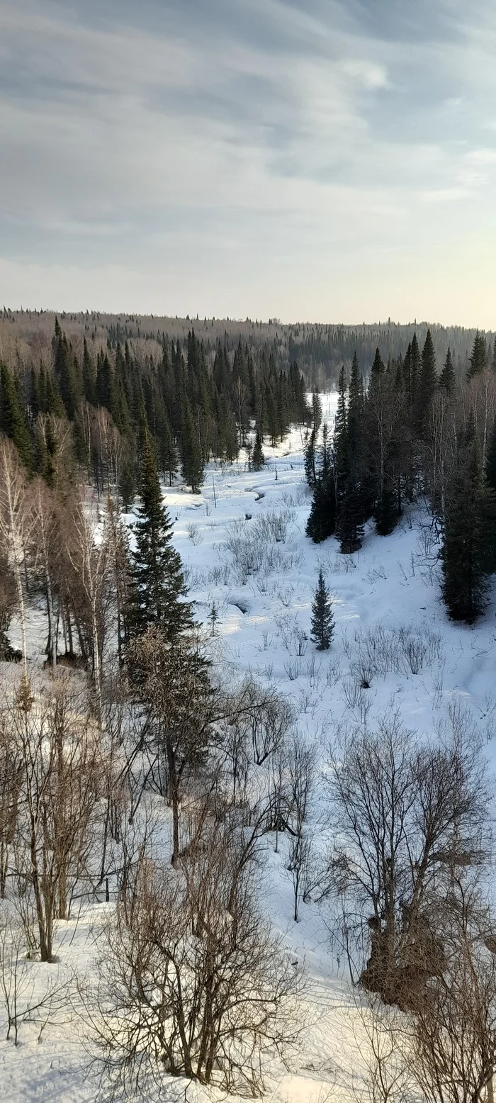 Зимние фотографии без обработки говорите - Моё, Мобильная фотография, Сибирь, Длиннопост, Конкурс
