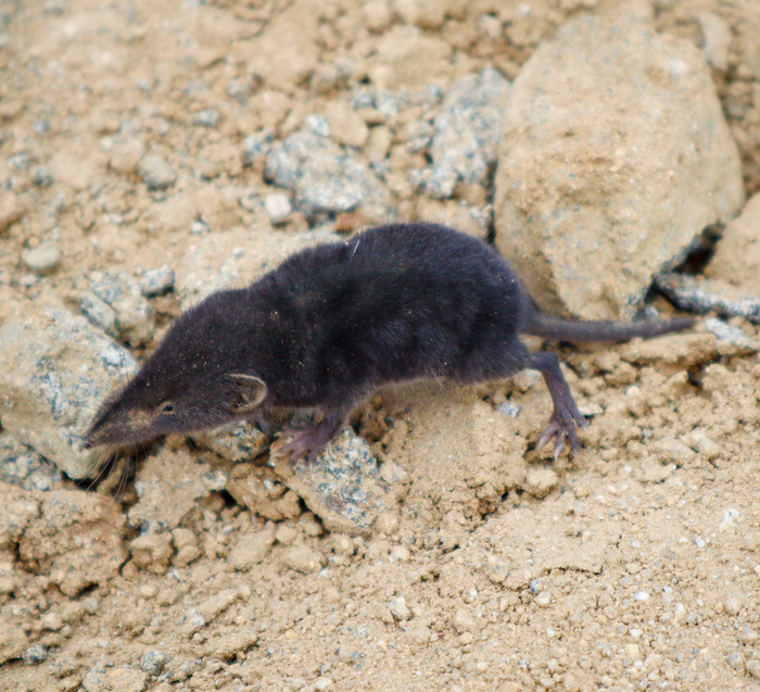 Вытянулся для вас...)