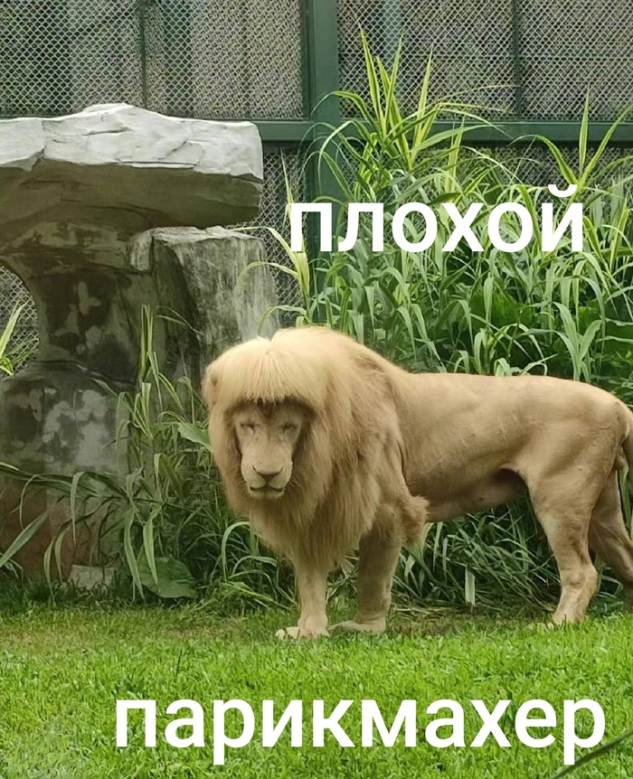   ,   , , , , , , 