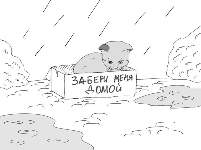    , , -,  , ,  