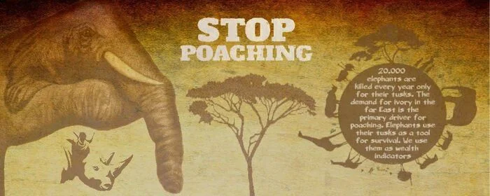 Black Rhinoceros, Black Women, Black Continent - or What Does a Watch Have to Do with It? - My, Firearms, Wrist Watch, Protection of Nature, Reserves and sanctuaries, Africa, Zimbabwe, Mat, Longpost