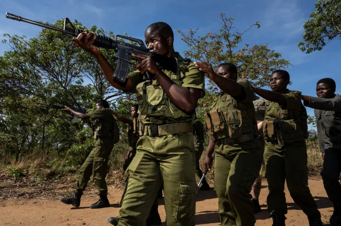 Black Rhinoceros, Black Women, Black Continent - or What Does a Watch Have to Do with It? - My, Firearms, Wrist Watch, Protection of Nature, Reserves and sanctuaries, Africa, Zimbabwe, Mat, Longpost