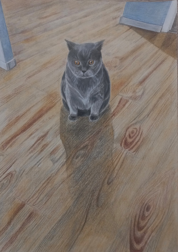 ������� ���������, ������ �4