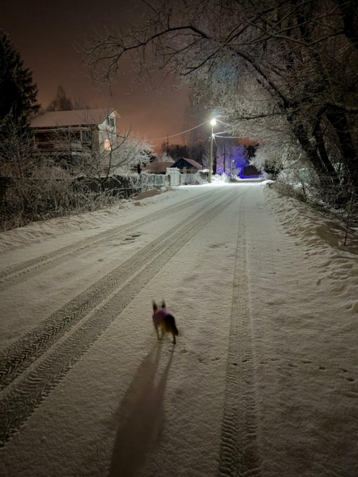 «Конкурс зимних фотографий на Пикабу»