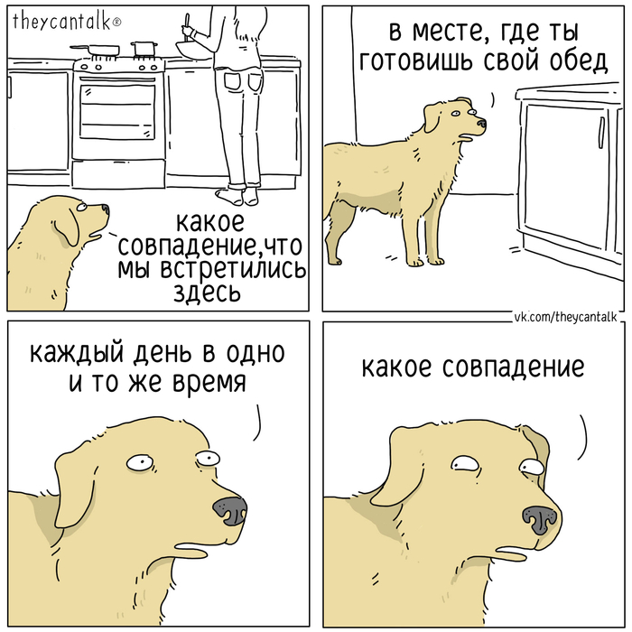 Совпадение