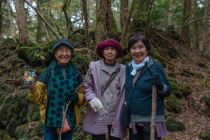 ������� ������ �� �������� � �����