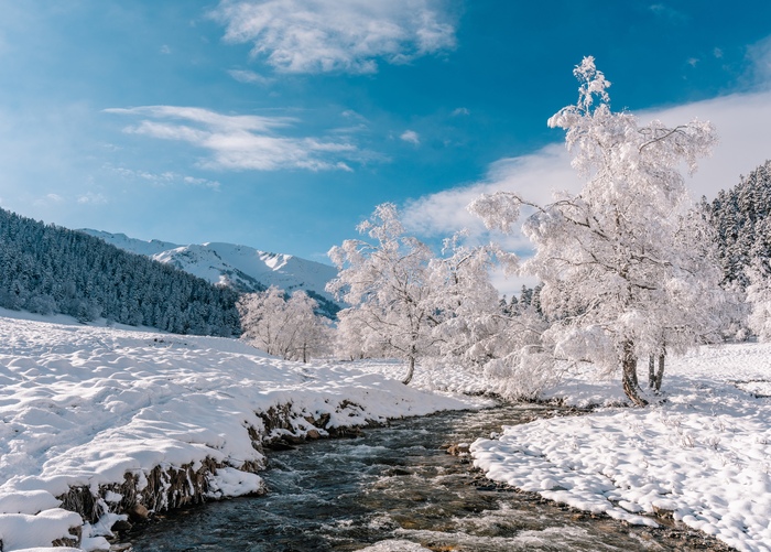 Ответ на пост «Конкурс зимних фотографий на Пикабу»