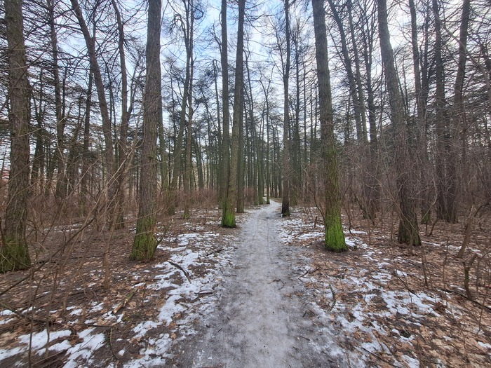 ����� �� ���� �������� ������ ���������� �� ������