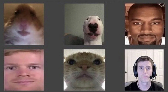 Ред флаги заказчиков или почему отказывать клиентам – это нормально Опыт, Личный опыт, Труд, Успех, Заработок, Карьера, Длиннопост