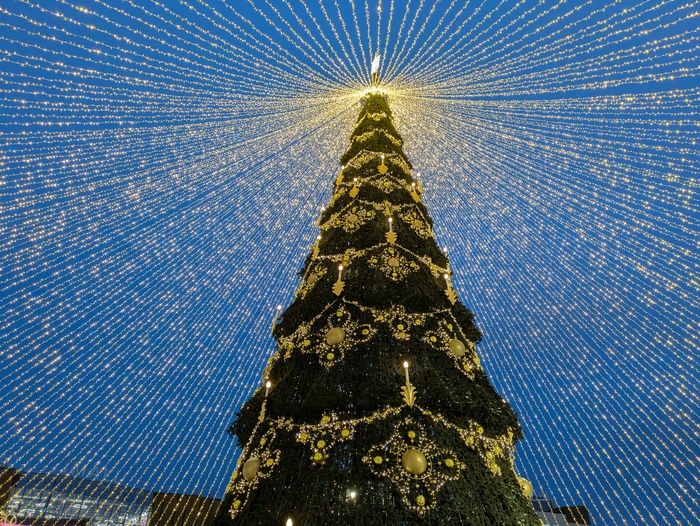 ����� �� ���� �������� ������ ���������� �� ������