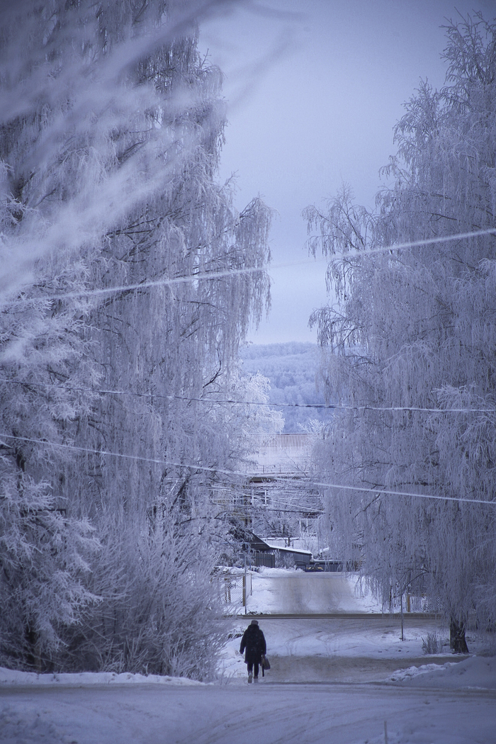 ����� �� ���� �������� ������ ���������� �� ������