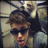 инофо: the <!--noindex--><a href="https://pikabu.ru/story/zvezdyi_i_ikh_pitomtsyi_12253009?u=http%3A%2F%2FParader.ru&t=Parader.ru&h=cab44929d8e6676de15e051abae077e96fd2d9fc" title="http://Parader.ru" target="_blank" rel="nofollow noopener">Parader.ru</a><!--/noindex-->