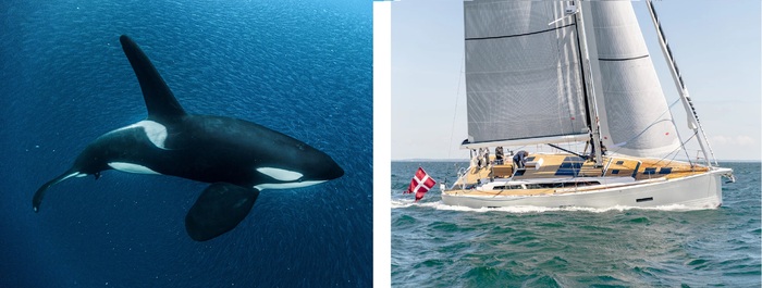 �� ���� �������, �� ���� ���� ������. ������� -������� ��������