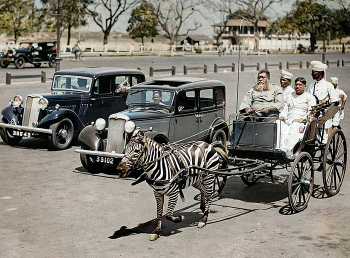 Подборка фотографий из прошлого, которые заставляют удивиться. 20 раскрашенных фотографий из XIX-ХХ века. Часть XV Старое фото, Историческое фото, Фотография, 20 век, Колоризация, Длиннопост