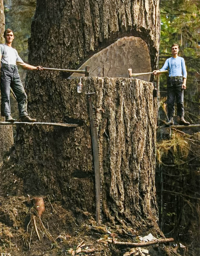 Подборка фотографий из прошлого, которые заставляют удивиться. 20 раскрашенных фотографий из XIX-ХХ века. Часть XV Старое фото, Историческое фото, Фотография, 20 век, Колоризация, Длиннопост