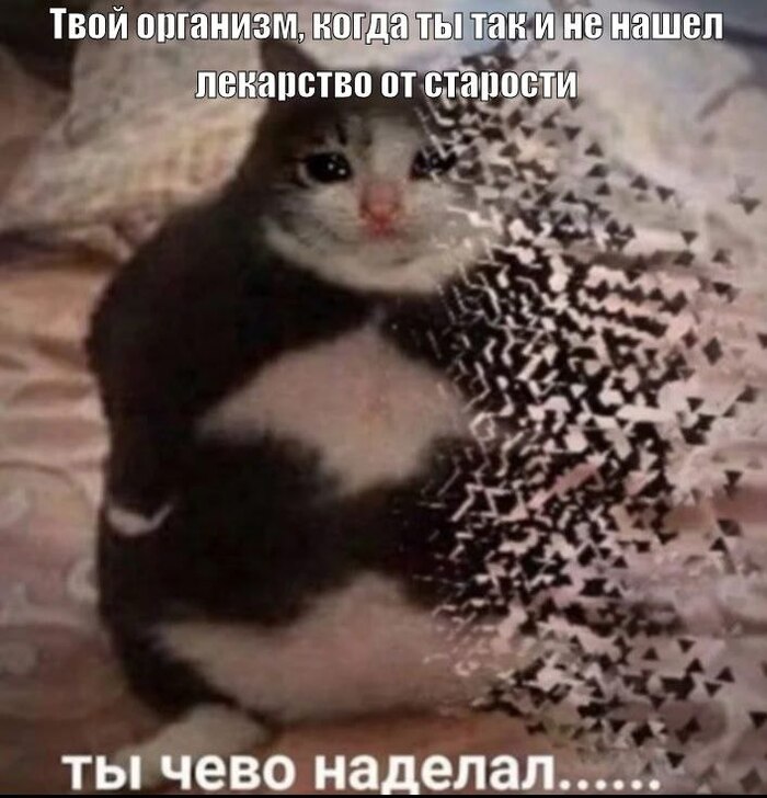     , ,   , , 